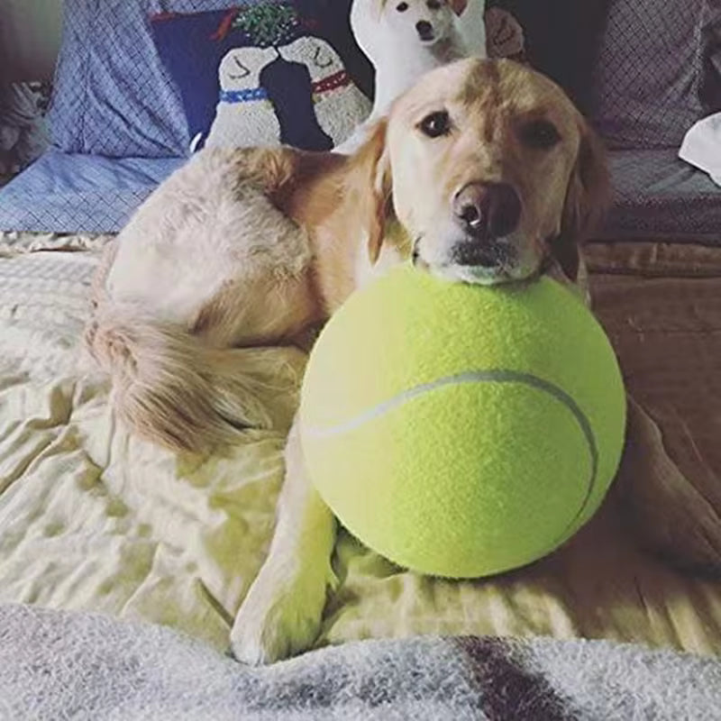 Giant Tennis Ball