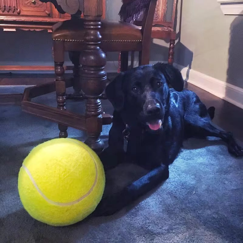 Giant Tennis Ball