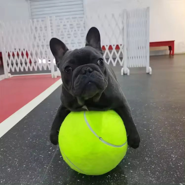 Giant Tennis Ball