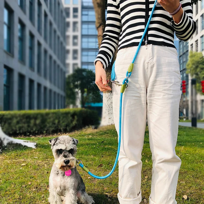 Hands-Free Dog Leash