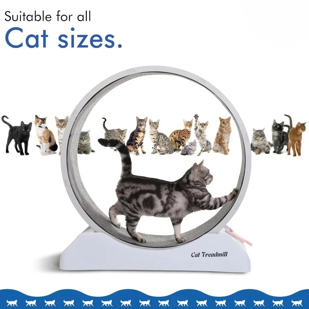 Cat Exercise Wheel